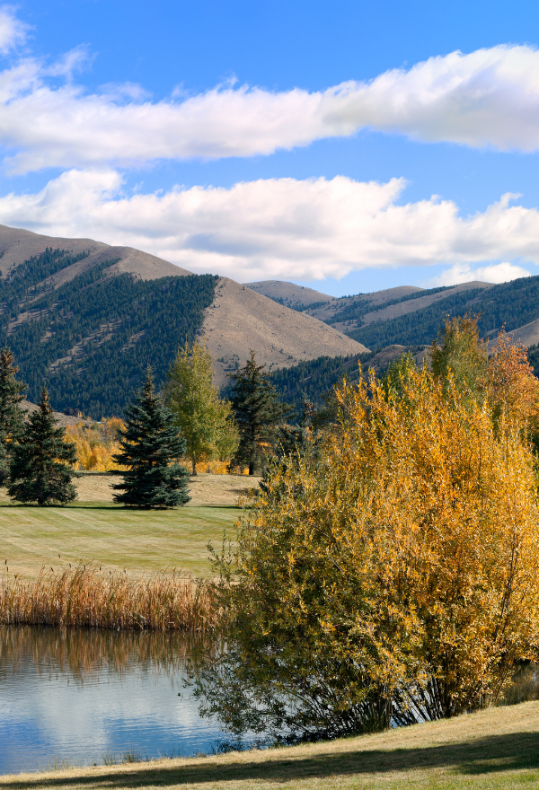 Fall foliage in the town of Bellevue Idaho