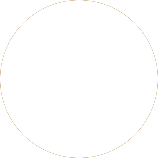 Circle Icon